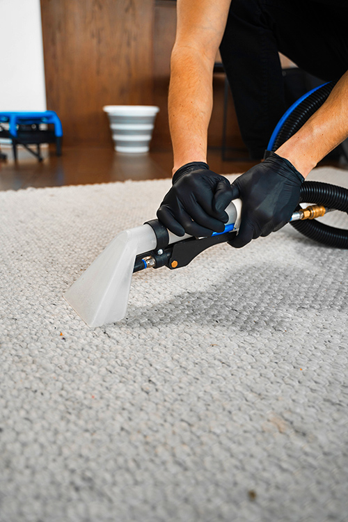 carpet cleaning